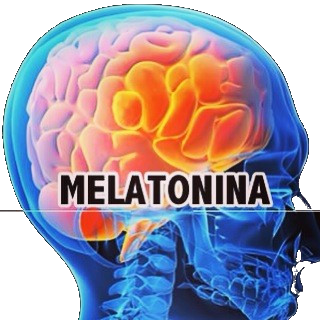 Melatonina São Raizeiro